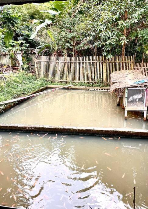 Rumah liburan 2 Floor With Natural Environment *
