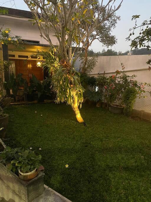 2 Floor With Natural Environment *