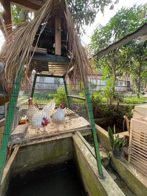 2 Floor With Natural Environment *